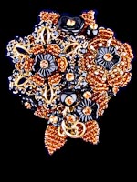 Click the picture to see a close-up and other images